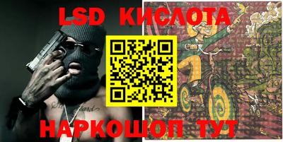 прущие крисы Кингисепп