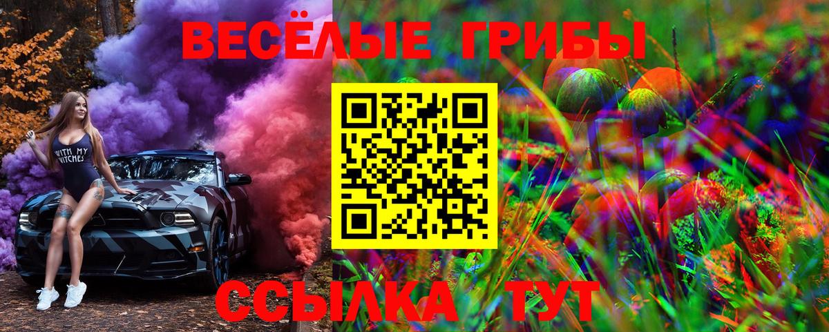 Псилоцибиновые грибы Cubensis  Вход с VPN  Галлюциногенные грибы Psilocybine cubensis  Кириши 